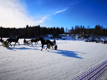 Leppävirran jääravit.